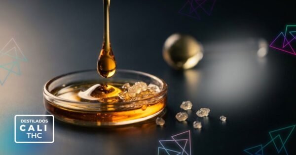 Destilado, live resin y liquid diamonds: qué significa cada término en un cartucho THC